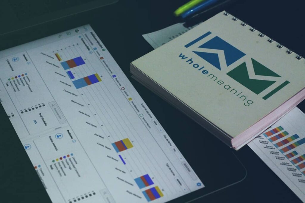 ¡Wholemeaning te presenta el panel  “Análisis de flujo de entrada y gestión ”!